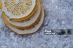 The Evolution of Freeze Drying Equipment and Technological Innovations