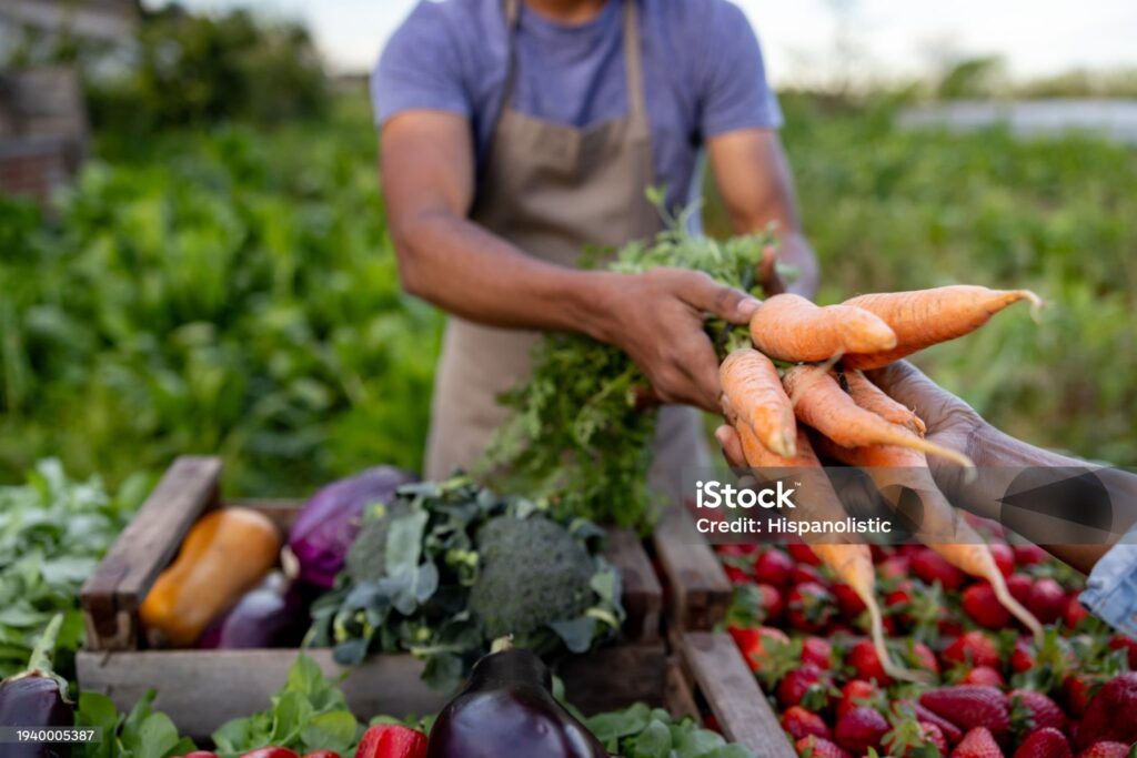 istockphoto 1940005387 2048x2048 1