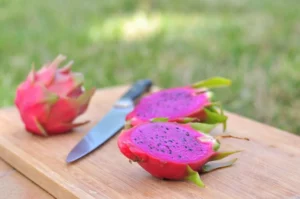 Unlocking the knowledge of freeze dried dragon fruit